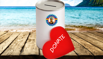 surf lifesaving donations